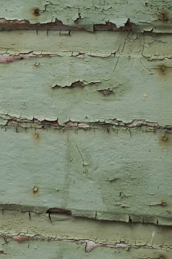 Photo 26667: Decayed, green double door of planks
