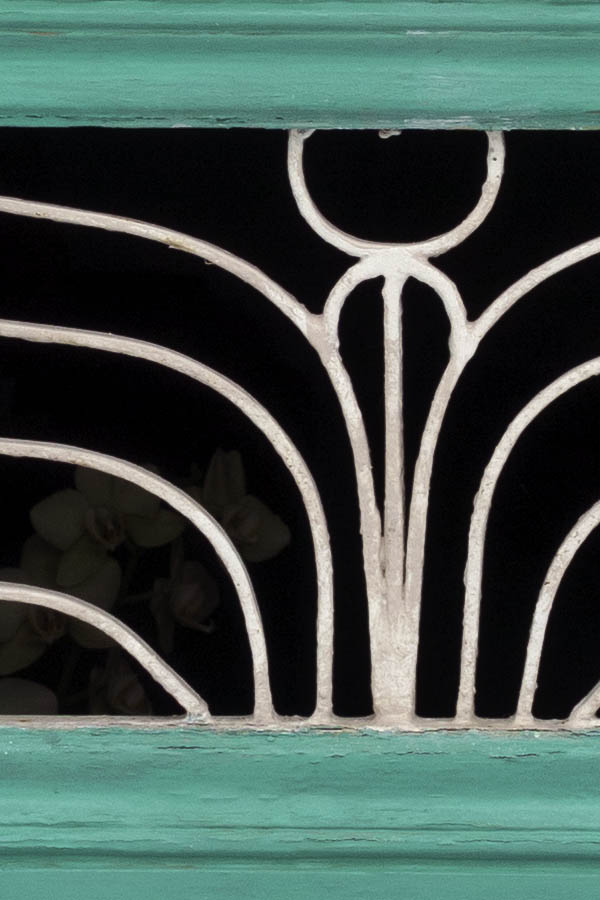 Photo 26736: Light green, panelled, latticed door