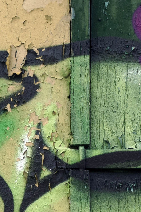 Photo 26915: Window with dark green shutters