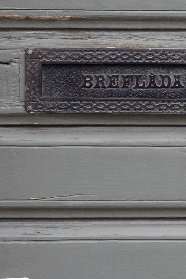 Photo 27099: Grey door of boards with sidepiece and oval door lights