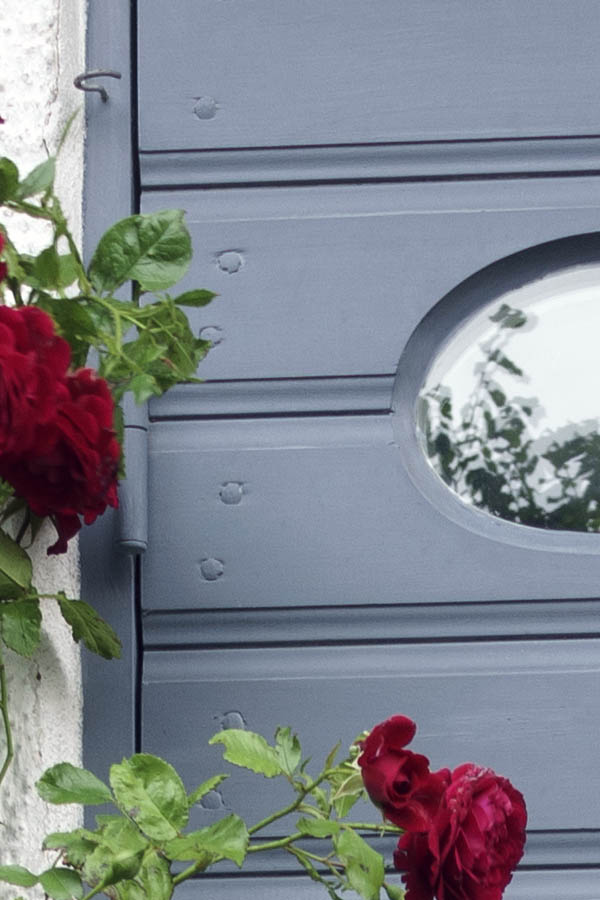 Photo 27115: Light blue door of with sidepiece and oval door lights