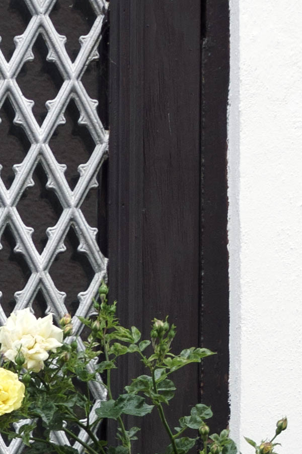 Photo 27139: Panelled, black double door with white latticed door lights