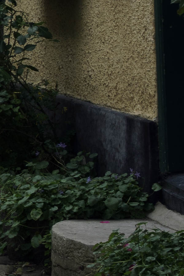 Photo 27247: Yellow facades from street in Visby, Sweden