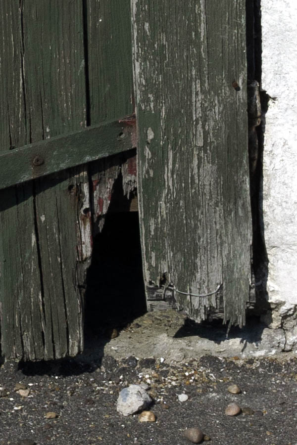 Photo 27395: Decayed, unpainted, green door of boards