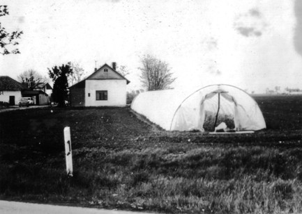 Uopvarmet foliedrivhus