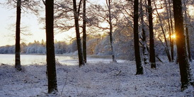 Salten Langs&oslash;