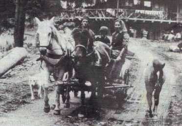 Sig&oslash;jnerfamilie p&aring; rejse