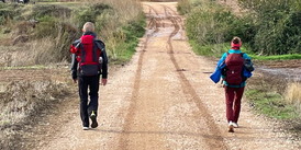 Camino Franc&eacute;s