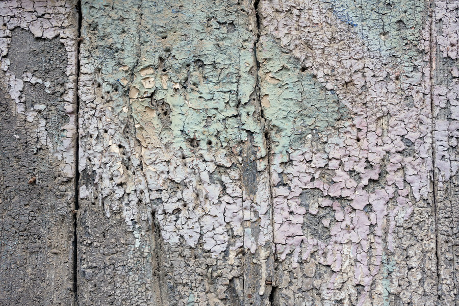 Photo 24475: Decayed wall of planks with grey, light green and pink colours
