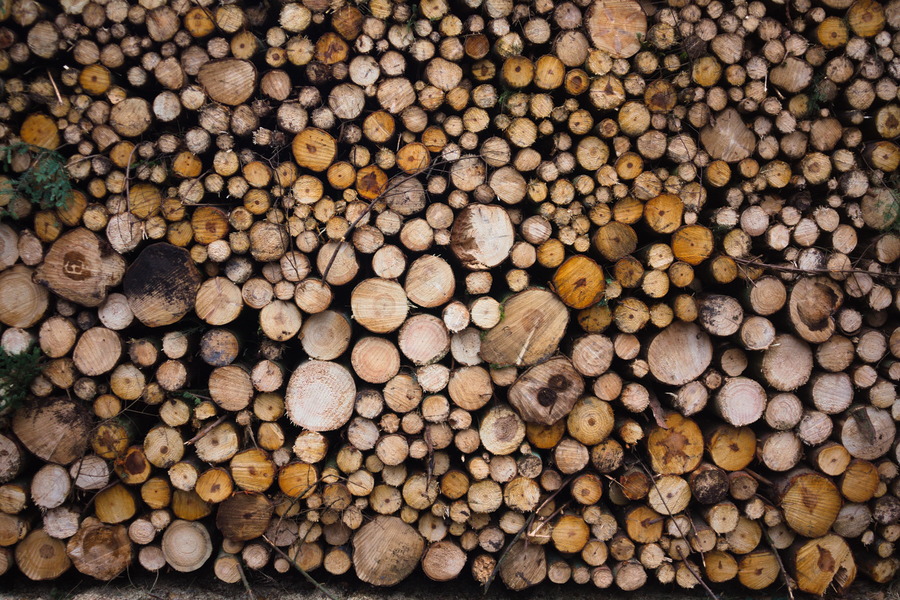 Photo 27396: A stack of firewood in white, yellow and brown colours