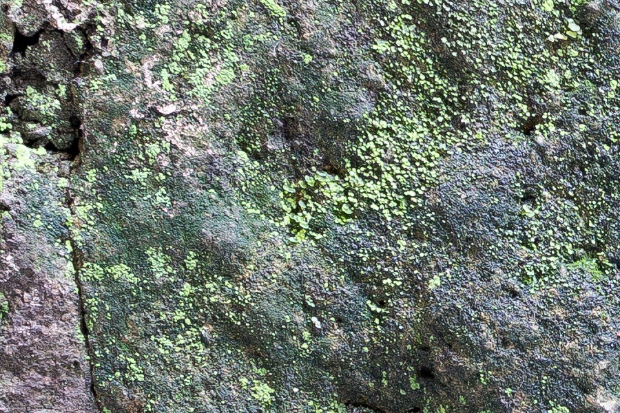 Photo 23932: Worn stone wall with red and green patterns