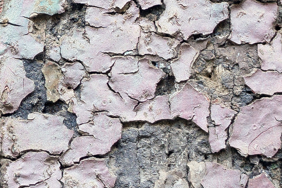 Photo 24475: Decayed wall of planks with grey, light green and pink colours