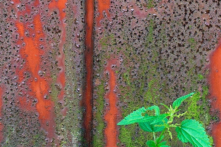 Photo 25448: Red and rusty wall of corrugated iron with a hatch