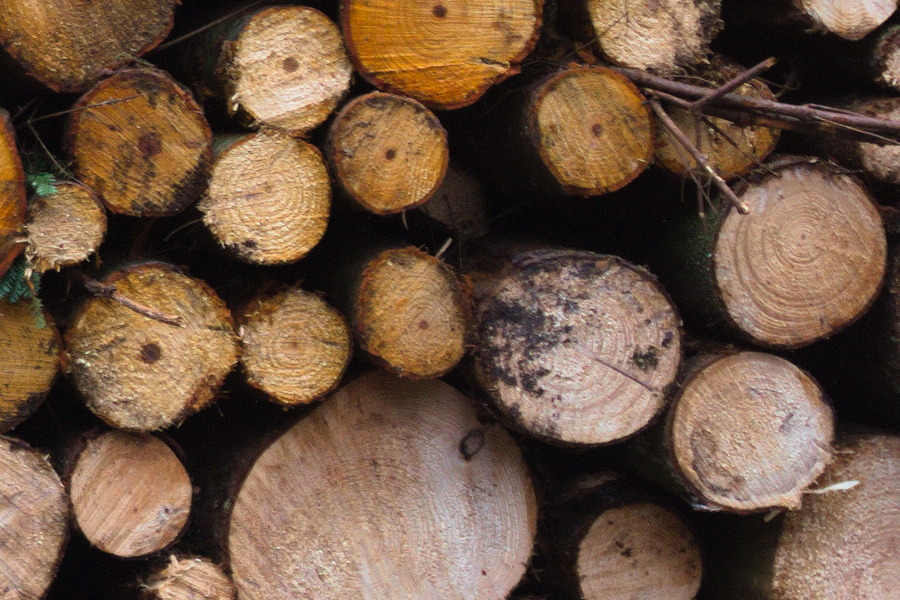 Photo 27396: A stack of firewood in white, yellow and brown colours